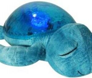 Tranquil Turtle by: Cloud B